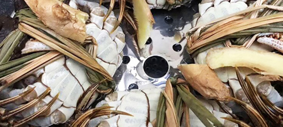 大闸蟹怎么保存才不死